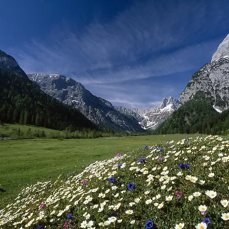 Pertisauerhof Pertisau